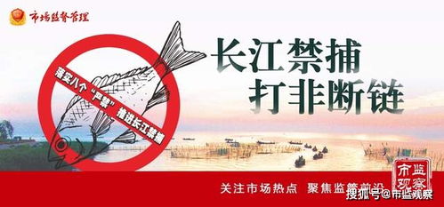 四川省樂山市市中區(qū)市場(chǎng)監(jiān)管局 亮劍“長(zhǎng)江禁漁”，重拳整治漁具銷售見實(shí)效